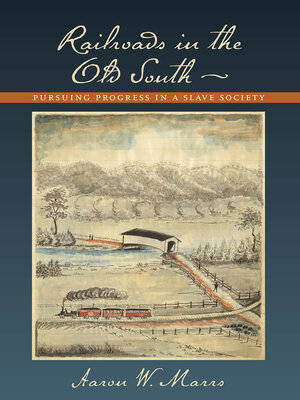 cover image of Railroads in the Old South